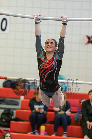 Moon Invitational - bars and beam (162 of 499)