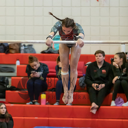 Moon Invitational - bars and beam (154 of 499)