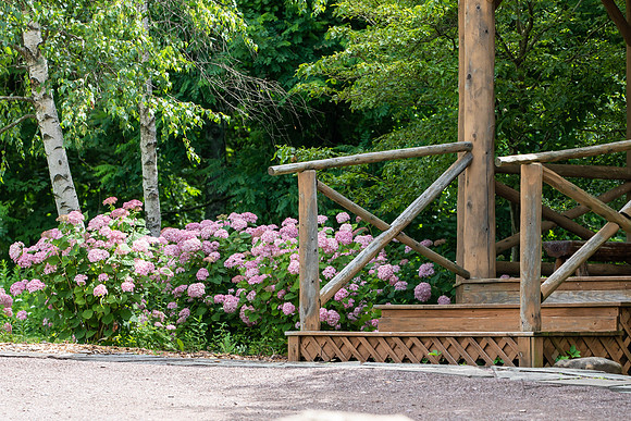 Botanic Gardens (15 of 40)