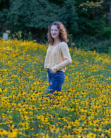 Field of Flowers