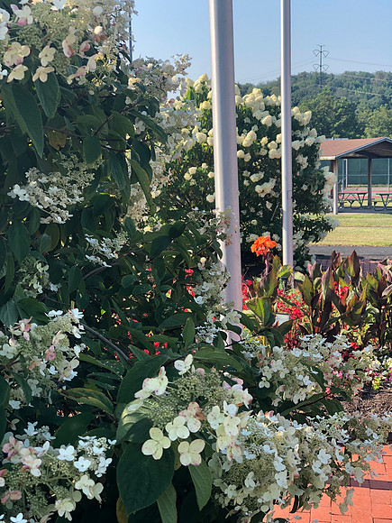 Findlay Park