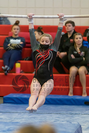 Moon Invitational - bars and beam (131 of 499)