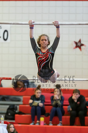 Moon Invitational - bars and beam (92 of 499)