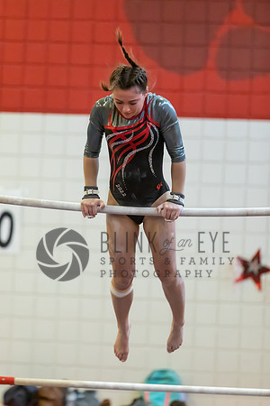 Moon Invitational - bars and beam (163 of 499)
