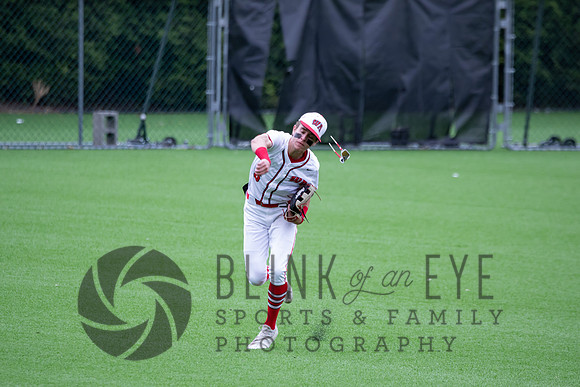 PIAA Quarterfinals (8 of 218)