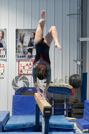 Balance Beam (132 of 213)