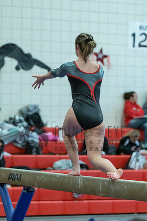 Moon Invitational - bars and beam (211 of 499)
