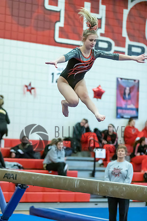 Moon Invitational - bars and beam (303 of 499)