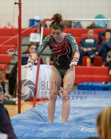 Moon Invitational - bars and beam (207 of 499)