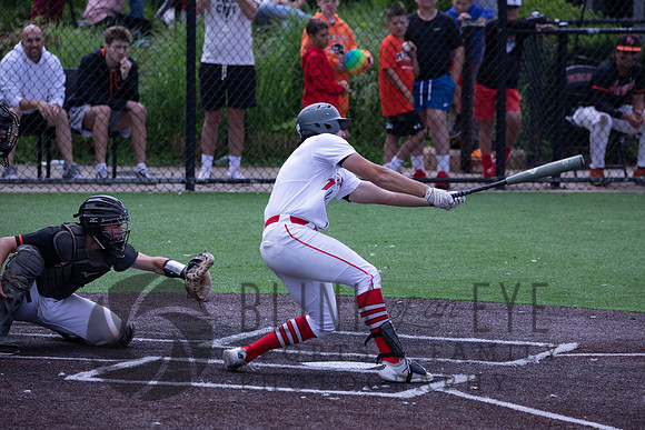 PIAA Quarterfinals (195 of 218)