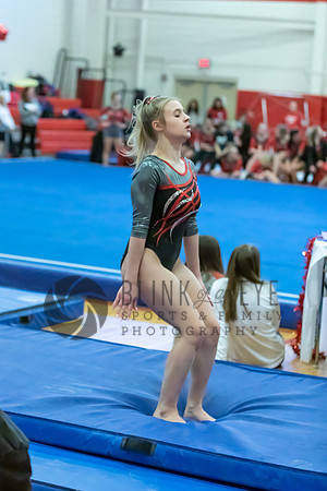 Moon Invitational - bars and beam (322 of 499)