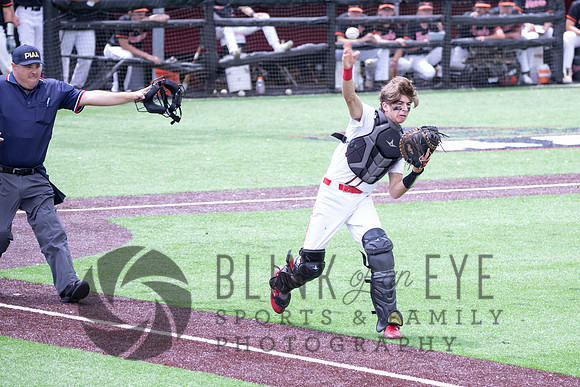 PIAA Quarterfinals (40 of 218)