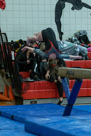 Moon Invitational - bars and beam (259 of 499)