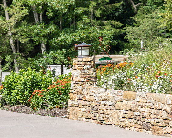 Botanic Gardens (25 of 40)
