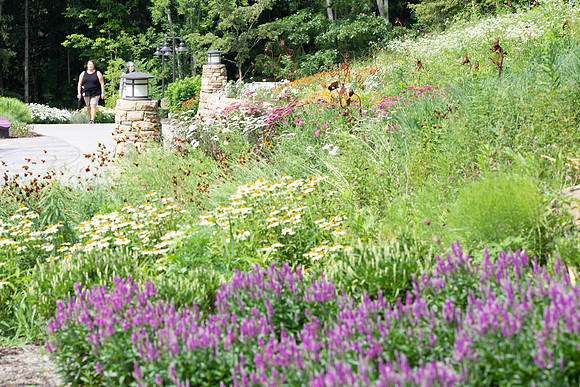 Botanic Gardens (22 of 40)