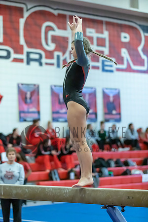 Moon Invitational - bars and beam (333 of 499)
