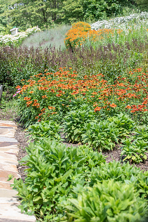 Botannical Gardens (40 of 40)