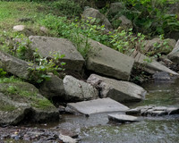 Cecil Park