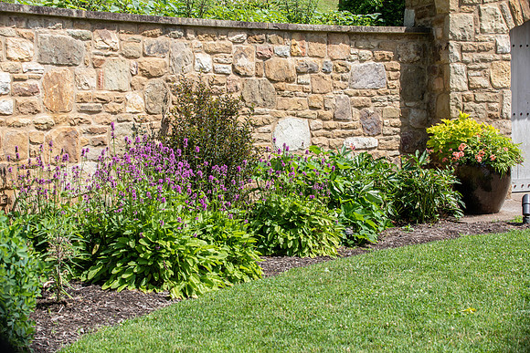 Botanic Gardens (39 of 40)