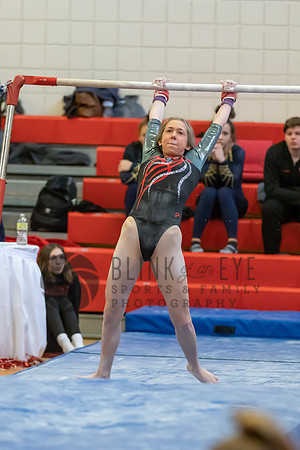 Moon Invitational - bars and beam (87 of 499)
