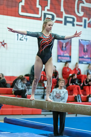 Moon Invitational - bars and beam (308 of 499)