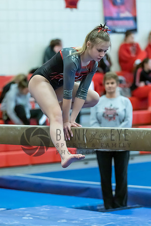 Moon Invitational - bars and beam (285 of 499)