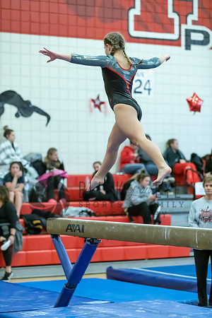 Moon Invitational - bars and beam (336 of 499)