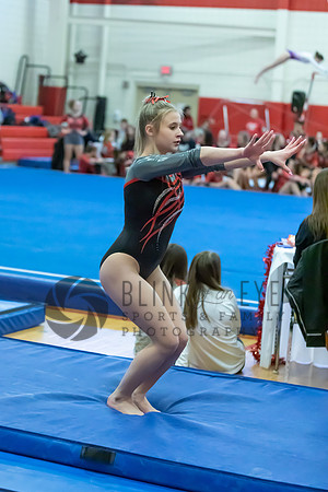 Moon Invitational - bars and beam (323 of 499)