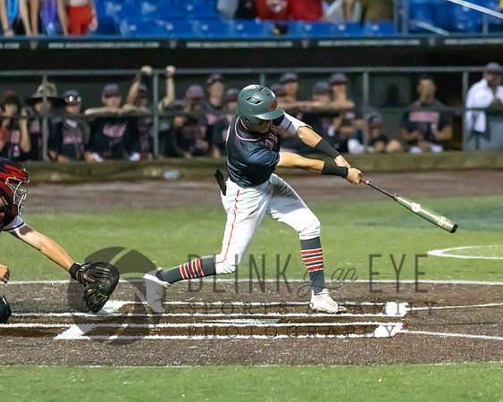 WPIAL Champions (166 of 551)