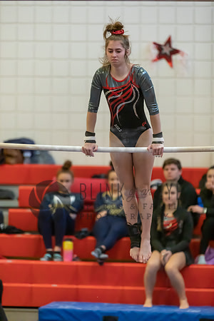 Moon Invitational - bars and beam (117 of 499)