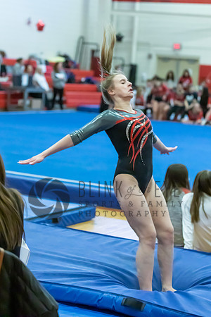 Moon Invitational - bars and beam (321 of 499)
