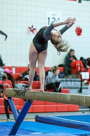 Moon Invitational - bars and beam (291 of 499)