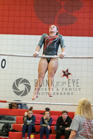 Moon Invitational - bars and beam (75 of 499)