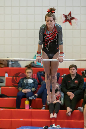 Moon Invitational - bars and beam (183 of 499)