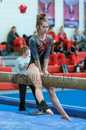 Moon Invitational - bars and beam (262 of 499)