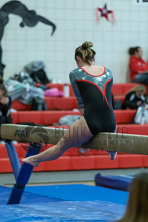 Moon Invitational - bars and beam (210 of 499)