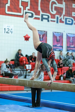 Moon Invitational - bars and beam (296 of 499)