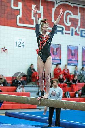 Moon Invitational - bars and beam (270 of 499)