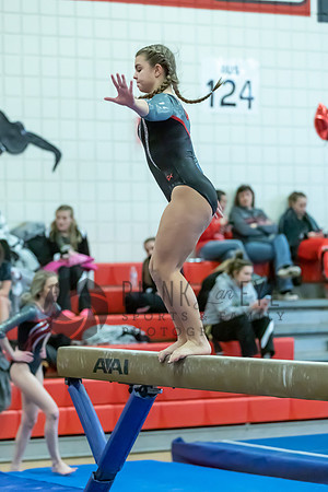 Moon Invitational - bars and beam (340 of 499)