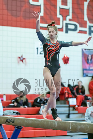 Moon Invitational - bars and beam (277 of 499)