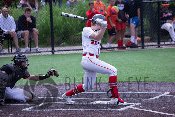 PIAA Quarterfinals (192 of 218)