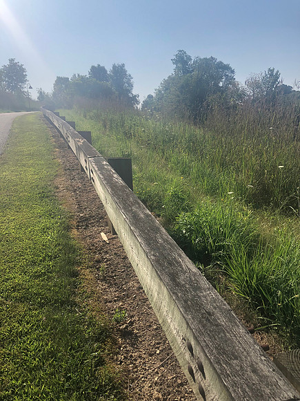 Findlay Park