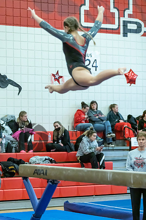 Moon Invitational - bars and beam (335 of 499)