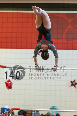 Moon Invitational - bars and beam (168 of 499)