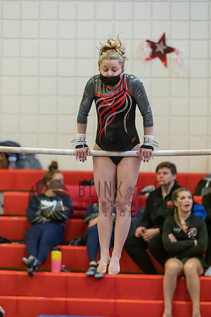 Moon Invitational - bars and beam (132 of 499)