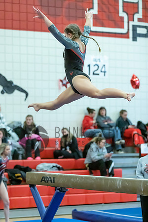 Moon Invitational - bars and beam (338 of 499)