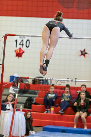 Moon Invitational - bars and beam (108 of 499)