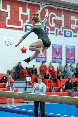Moon Invitational - bars and beam (269 of 499)