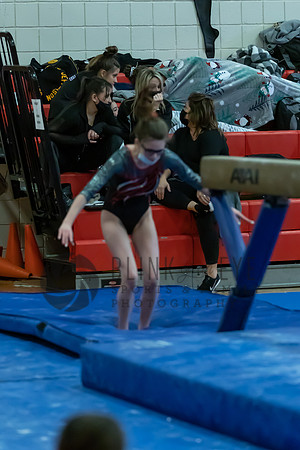 Moon Invitational - bars and beam (260 of 499)