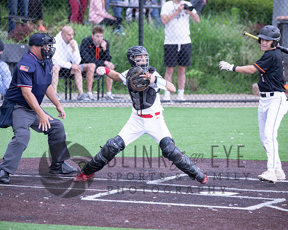 PIAA Quarterfinals (148 of 218)